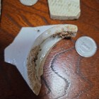 Korean Joseon Dynasty Pottery Shards 7 Pieces Used Collectible