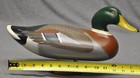 R  Madison Mitchell  Mallard Drake  Havre De Grace Maryland Special Order X-mass