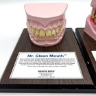 Health Edco Mr  Gross Mouth   Mr  Clean Mouth Dental Jaw Model Vintage Lot Of 2