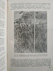 1956-57 Vintage  soil Geography  Map Of Rare Soils Of The World 