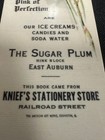 Vintage Celluloid Advertising Bookmark The Sugar Plumb Knief s Stationary Store
