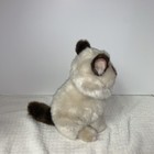 Gund Grumpy Cat Plush Stuffed Animal Blue Eyes Persian Chocolate Point Kitty