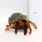Epoch Journey Of Life On Earth Creature Figure Coenobita Capsule Toy Rare 2007