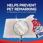 Resolve Pet Expert Stain And Odor Remover  Carpet Cleaner  Pet Stain And Odor Re