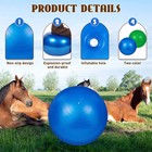 2 Pcs 40 Inch Horse Ball For Play Large Horse Ball Big Herding Ball For Blue