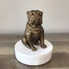 Vintage Bombay Company Heavy Cast Iron Bulldog Figurine Door Stop Paperweight 5 