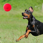 Classic Squeak Ball Outdoor Dog Toy  3 8 Inch Dog Ball Fetch Toy