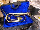 Baritone Horn Made Of Pure Brass In Golden Polish   Cushion Case   Free Shipping
