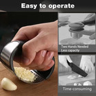 Garlic Press Rocker 2025 New Stainless Steel Garlic Mincer Garlic Crusher Set 3-
