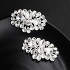 Crystal Shoe Buckle Shoe Crystal Shoe Clips Rhinestone Shoe Clips Decoration