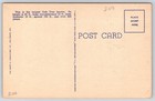 Vintage Postcard The Old Wye Oak Tree Wye Mills Maryland