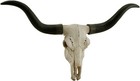 Impressive 20 Inch Longhorn Skull Sculpture With Black Horns For Rustic Decor