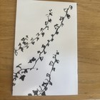 The Marias Not For Radio    winter In The Garden    Tour Kings Theater Program Book