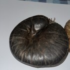  2  Vintage 1920   s Youth Baseball Catchers Mitt Gloves Bill Dicker