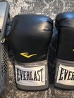 Everlast Pro Style Boxing Training Heavy Bag Gloves 8oz  Ever Fresh