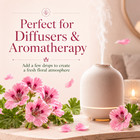 Rose Geranium Essential Oil 100  Pure Many Sizes Free Shipping