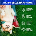Dog Probiotics - 6 Billion Cfu - Without Yeast - W prebiotics  Enzymes  Pumpkin