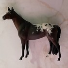 Artist Resin Custom Sporthorse Bay Appaloosa Stablemate Size   Gorgeous