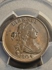 1804 Draped Bust Half Cent   Plain 4  No Stems   Pcgs Ms62 Bn Cac   Gold Shield