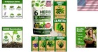 Extra Large Herb Seed Variety Pack  3200  Seeds For -round Gardening