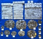 1 4 Lb World Silver Lots     Avg  800     Au unc     Toned     Not Junk     Q71