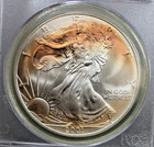 2001 American Silver Eagle  1 Wtc Ground Zero Recovery Pcgs Gem Uncirculated