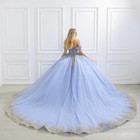  Blue Quinceanera Dresses Floral Princess Azul Evening Dresses Customized