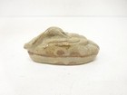 7875749  Japanese Tea Ceremony   Kogo Incense Container   Ash Glaze   Artisan Wo