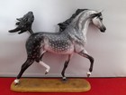 Artist Resin Model Horse Vicki Keeling Padron Arabian Head Tucked Dapple Grey
