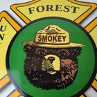 Vintage Forest Service Sign - Smokey The Bear Porcelain Gas Station Pump Sign