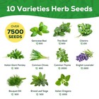 10 Herb Seeds Variety Pack - 7 000  Heirloom Seeds - Basil  Cilantro  Lavende   