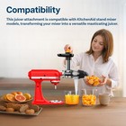 Juicer Attachment For Kitchenaid Stand Mixer - Slow Juicer Cold Juicer   Strainer