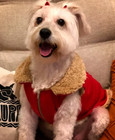 Dog Winter Vest Small - Red Sherpa Lined Fleece Jacket - Warm Pet Clothes