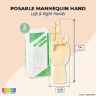 Posable Hand Model For Art  Left And Right Mannequin  7 Inches  2 Pack 