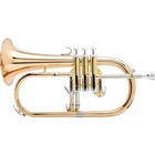 Yamaha Yfh631g Series Bb Flugelhorn