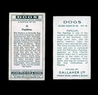 Papillon Butterfly Dog Vintage Trade   Cigarette Cards X 2