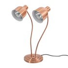 500w Double Head Electric Food Heat Lamp For Food Service food Warmer Light 