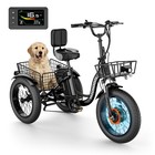 Fat Tire Electric Bicycle W  3 Wheels Size 20  Aluminum Frame E-bike 7 Speed