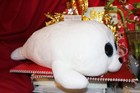 Ty Beanie Boos Icy Jumbo The White Seal-8 x20 -2016 Release-mwnmt-nice Gift 