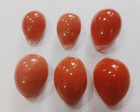 Cyprea Aurantium 6  Pcs  F       W  Tiny Hair Mark But  All Natural Not Polished