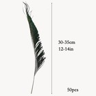 50pcs Natural Peacock Sword Feathers 12-14 Inch For Hat Diy Crafts Arts    