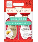 Diane Perfect Beauty Extra Scalp   Volume Shampoo   Treatment Set 450ml Set- Usa