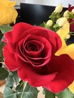 Test Listing Only - 6 Images For Jmv