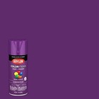 12 Oz Krylon K05536007 Rich Plum Colormaxx Paint   Primer Spray Paint  Gloss