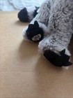 Webkinz Raccoon Retired No Code