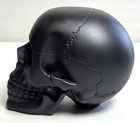 Summit Collection Matte Black Human Skull Statue 2007 Gothic Skeleton Prop
