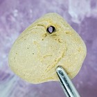 Holey Hag Stone Natural Surf Tumbled Beach Rock Wishing Good Luck Fairy  1618