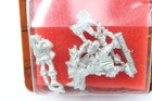 Warhammer Fantasy  Games Day 2002 Chaos Champion  oop  Nib  Metal   u-b1s4 41872