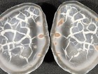 Neat  Lighting Like Pattern  Split And Polished Septarian Nodule Morocco 156gr