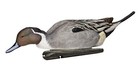 Avian-x Avx8082 Topflight Pintails Floating Duck Decoys 6 Pack